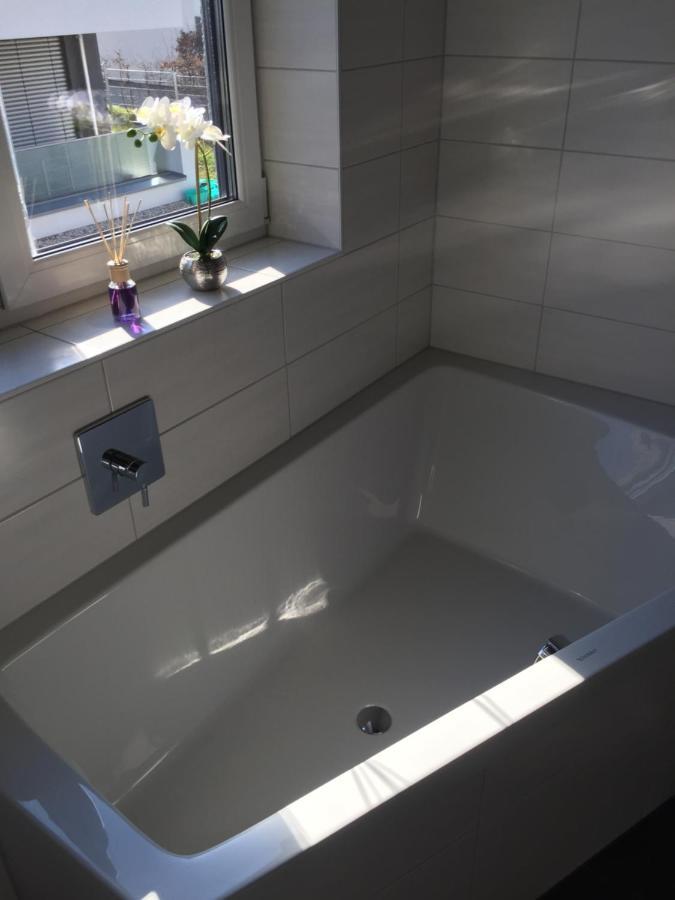 Appartements Am Hafen ツヴェンカウ エクステリア 写真