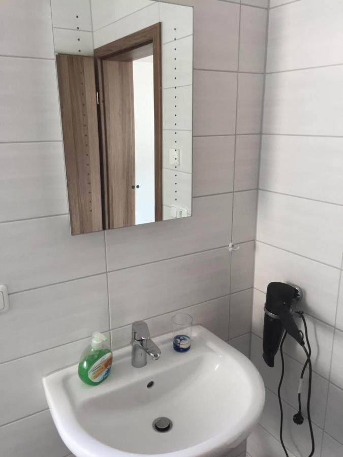 Appartements Am Hafen ツヴェンカウ エクステリア 写真
