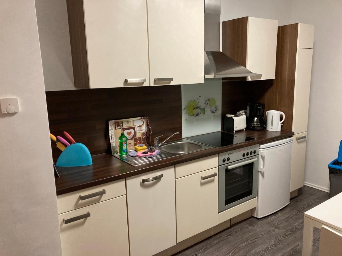 Appartements Am Hafen ツヴェンカウ エクステリア 写真